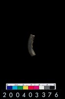 藏品(陶環)的圖片