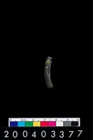 藏品(陶環)的圖片