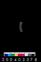 藏品(陶環)的圖片