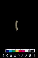 藏品(陶環)的圖片