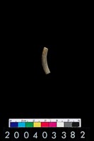 藏品(陶環)的圖片