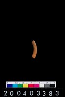 藏品(陶環)的圖片