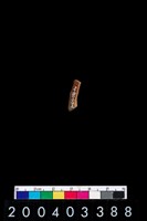 藏品(陶環)的圖片