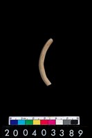 藏品(陶環)的圖片