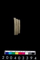 藏品(陶環)的圖片