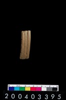 藏品(陶環)的圖片