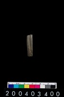 藏品(陶環)的圖片