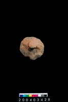 藏品(陶蓋)的圖片