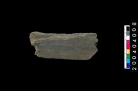 藏品(不明石器)的圖片