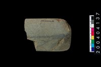 藏品(石錛)的圖片