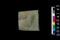 藏品(石錛)的圖片