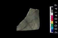 藏品(石錛)的圖片