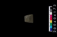 藏品(石錛)的圖片