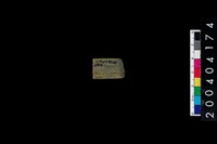 藏品(玉錛)的圖片