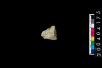 藏品(玉錛)的圖片