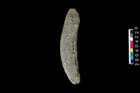 藏品(石刀)的圖片