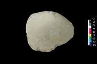 藏品(石片器)的圖片