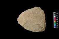 藏品(石片)的圖片