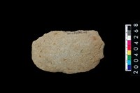 藏品(石片)的圖片