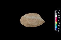 藏品(石片)的圖片