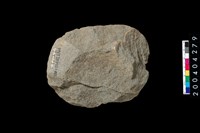 藏品(打製石斧)的圖片