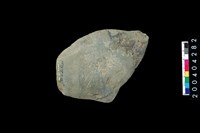 藏品(打製石器)的圖片