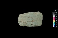 藏品(磨製石斧)的圖片