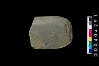 藏品(石錛)的圖片