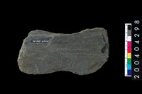 藏品(石網墜)的圖片