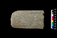 藏品(石杵)的圖片