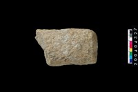 藏品(石杵)的圖片