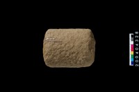 藏品(石杵)的圖片