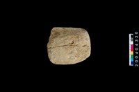 藏品(石杵)的圖片