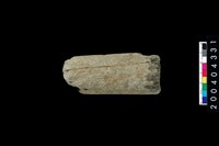 藏品(石杵)的圖片