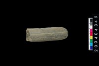 藏品(石錘)的圖片