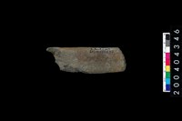 藏品(石錘)的圖片