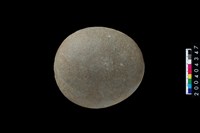 藏品(石錘)的圖片