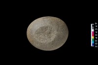 藏品(石錘)的圖片