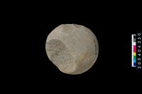 藏品(石錘)的圖片