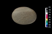 藏品(石錘)的圖片