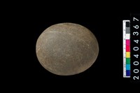 藏品(石錘)的圖片