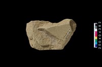 藏品(砥石)的圖片