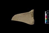 藏品(砥石)的圖片