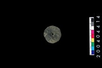 藏品(帶穿圓板)的圖片