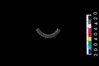 藏品(石環)的圖片