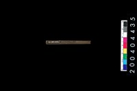 藏品(石針)的圖片