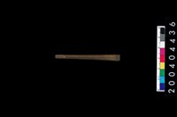 藏品(石針)的圖片