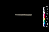 藏品(石針)的圖片