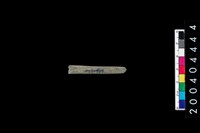 藏品(石針)的圖片