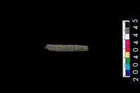 藏品(石針)的圖片